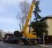 Alquiler de Camión Grúa (Truck crane) / Grúa Automática Freightliner/Effer, Capacidad 12 Tons a 2 mts. Boom extendido verticalmente 14,4 mts 1.540 kilos. en Pamplona, Alicante, España
